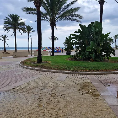 아파트 Acogedor En Playa Gandia *